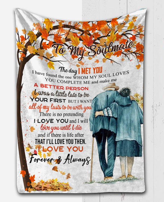 To My Soulmate - The Day I Met You Plush Fleece Blanket - 50x60