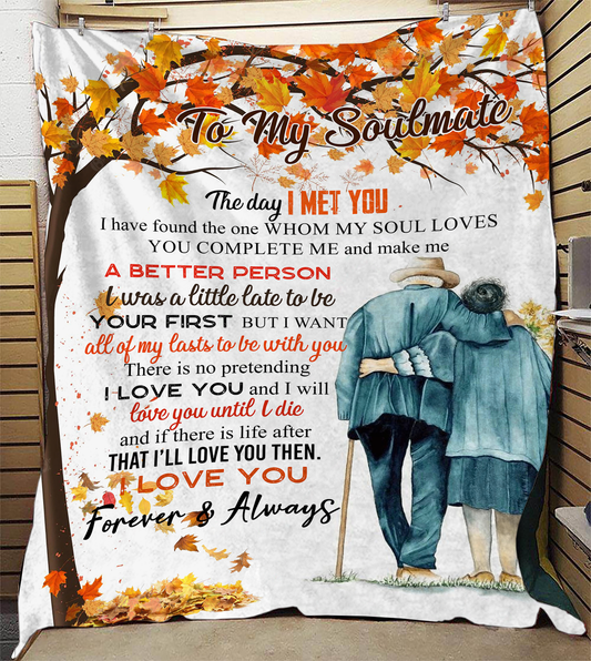 To My Soulmate - The Day I Met You Plush Fleece Blanket - 50x60