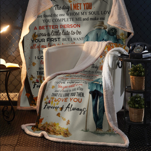 To My Soulmate - The Day I Met You Plush Fleece Blanket - 50x60